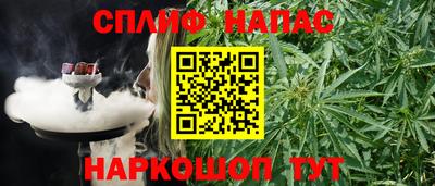 шишки Гатчина