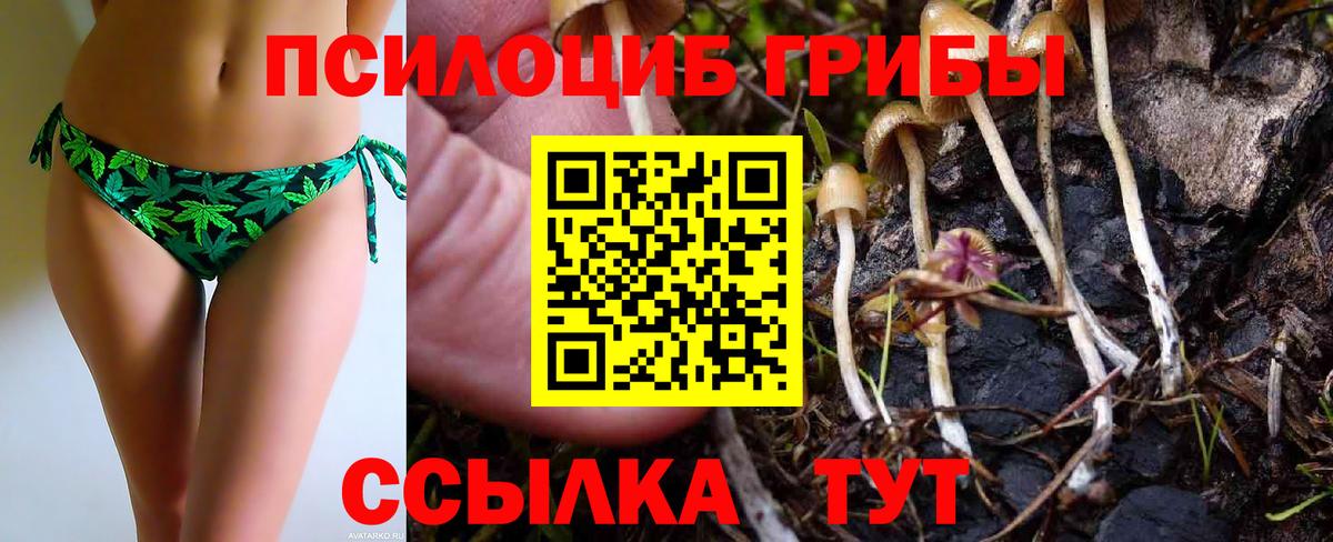 Галлюциногенные грибы Magic Shrooms  Вход с VPN  Вятские Поляны 
